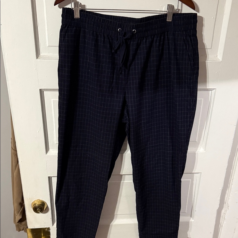 LOFT Navy Women’s Pants